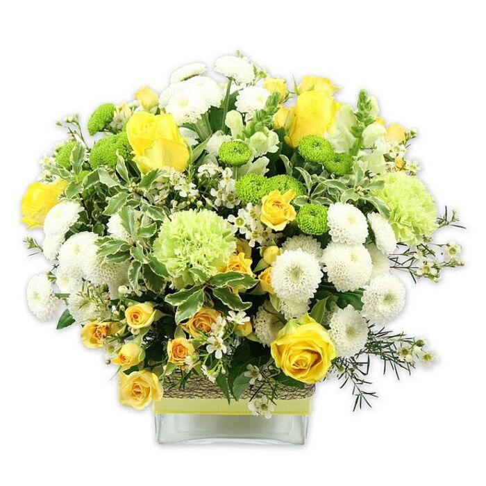 A carefully crafted floral arrangement is displayed in a low, clear square glass vase, glowing with the cheerful palette of yellow, white, and lime green that local clients in Clapham often request for happy occasions. The bouquet forms a rounded, generously filled silhouette, its blooms tightly grouped yet individually distinct. Saturated yellow roses, some fully unfurled and others just beginning to open, draw the eye with their velvety petals and classic romantic shape. Around them, sprays of miniature yellow roses thread through the design, lending a sense of movement and layered detail, as though the bouquet were slowly expanding outward. White pompom chrysanthemums, with their densely petalled, cushion-like heads, create soft, clouded volumes that contrast beautifully with the vivid green button mums, whose small, spherical forms add a bright, almost zesty accent. Larger, softly ruffled pale-green flowers, similar to fancy green chrysanthemums or frilled carnations, sit slightly higher in places, suggesting lightness and height without breaking the dome. Interwoven throughout is a tapestry of foliage: glossy dark greenery, airy filler stems, and striking variegated leaves edged in cream, all of which frame the brighter blooms and provide a natural, garden-fresh backdrop. Tiny white filler flowers, like scattered stars, punctuate the greenery and give the arrangement a delicate, intricate finish. The clear vase allows the stems to show, while its middle is wrapped in a textured band of rustic fibre or bark, secured with a neatly placed lime green ribbon that mirrors the floral tones. Set against a pristine white background, the bouquet radiates warmth, freshness, and quiet celebration-ideal as a centerpiece for a brunch near Abbeville Road, a congratulations gift, or a simple way to bring the feeling of a bright Clapham morning into someone's living room.