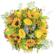 An exuberant celebration of golden hues, this bouquet feels like a sun-soaked afternoon along Clapham's quiet residential roads. The arrangement centers around sunflower blooms whose broad, open faces radiate vibrant joy, while plush yellow roses add lush softness, their gentle fragrance uplifting and comforting at once. Delicate ferns and sprays of goldenrod trace the perimeter, softening the overall silhouette and lending it a sense of unstudied natural beauty-almost as if gathered just beyond Clapham Common's wildflower edges. Subtle orange blooms and clusters of vivid red berries provide captivating contrast, sparking curiosity with each glance. Wisps of silvery eucalyptus peek through the yellows, their scent cool and clean, balancing the warmth of the dominant tones. The effect is both lively and harmonious, perfectly suited for sending messages of gratitude, cheer, or support throughout Clapham and beyond. Each bloom is thoughtfully arranged by a florist who knows the community's love of fresh, radiant flowers and the joy they bring to local homes.